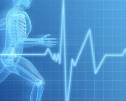 Влияние спорта на организм - Волейбольный клуб «УРАЛ»